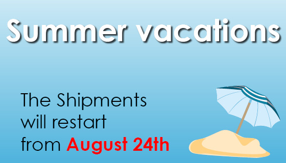 summer vacations